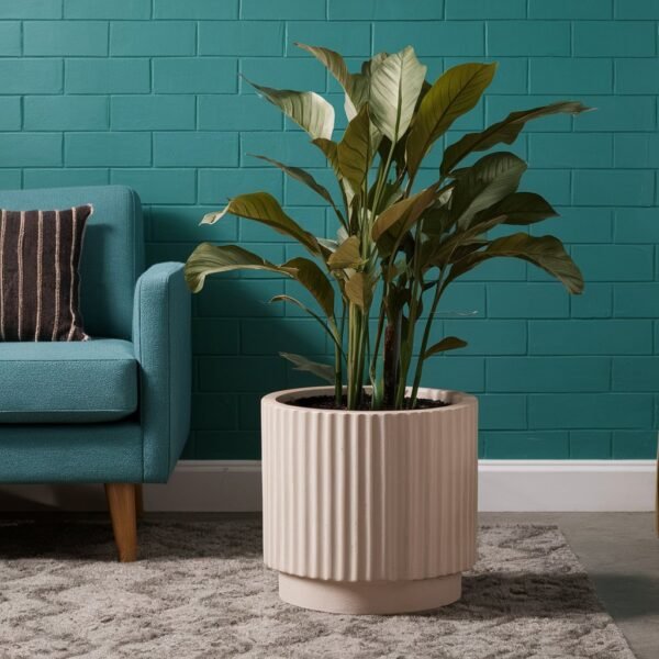 Gradient Wooden Pot